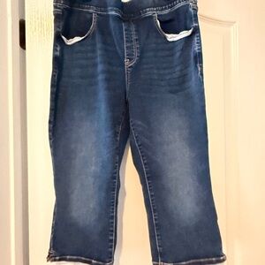 Lane Bryant Dark Blue Cropped Ankle Jeans